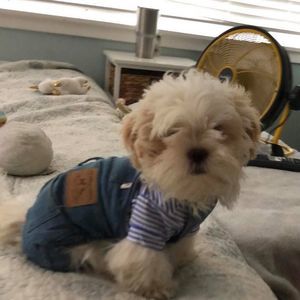 Meet your Posher, Jamie